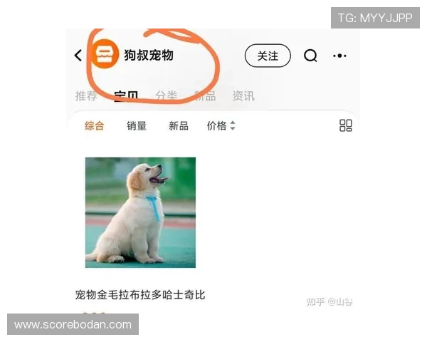 玩球直播足球避坑指南泛体育平台对比防骗推荐